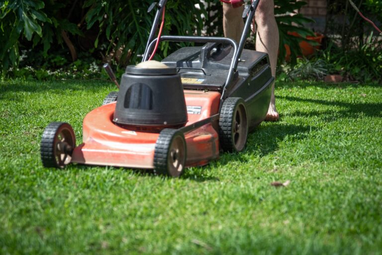 The Top 7 Best Lawn Mowers For 2022 the top 7 best lawn mowers